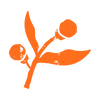 Group_337.png